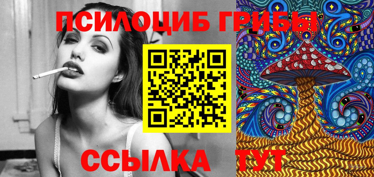Ульяновск  Псилоцибиновые грибы Psilocybine cubensis  Галлюциногенные грибы GOLDEN TEACHER  что такое наркотик  Вход с VPN 
